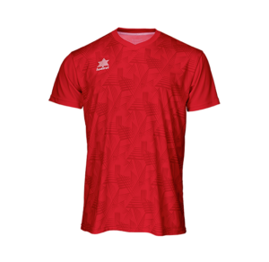 Camiseta Luanvi Porto M/C