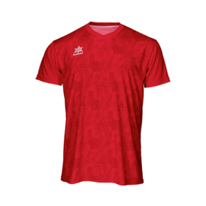 Camiseta Luanvi Porto M/C