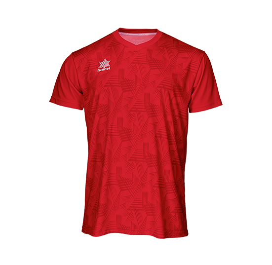 Camiseta Luanvi Porto M/C